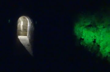 Tickets für 13h Kinder in den Unterwelten am 25.01.2026 - Karten kaufen